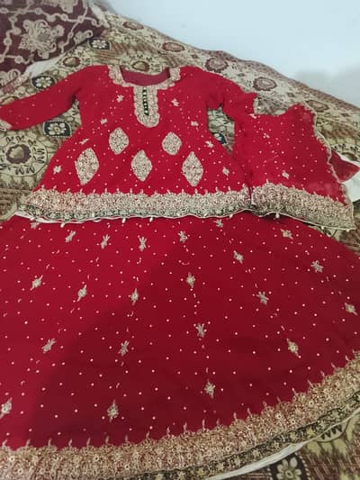 bridal lanhga for one Time used only