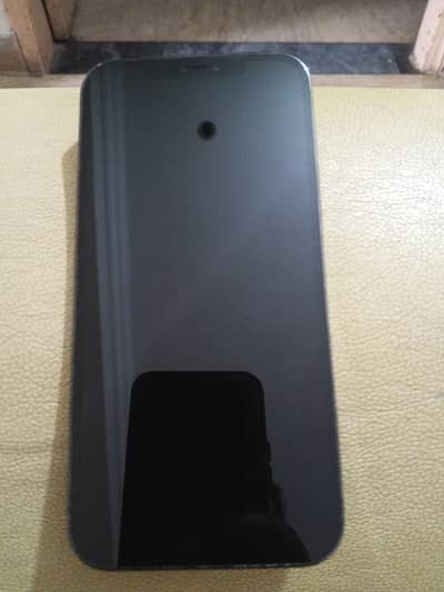 Apple iPhone 12 Pro Max