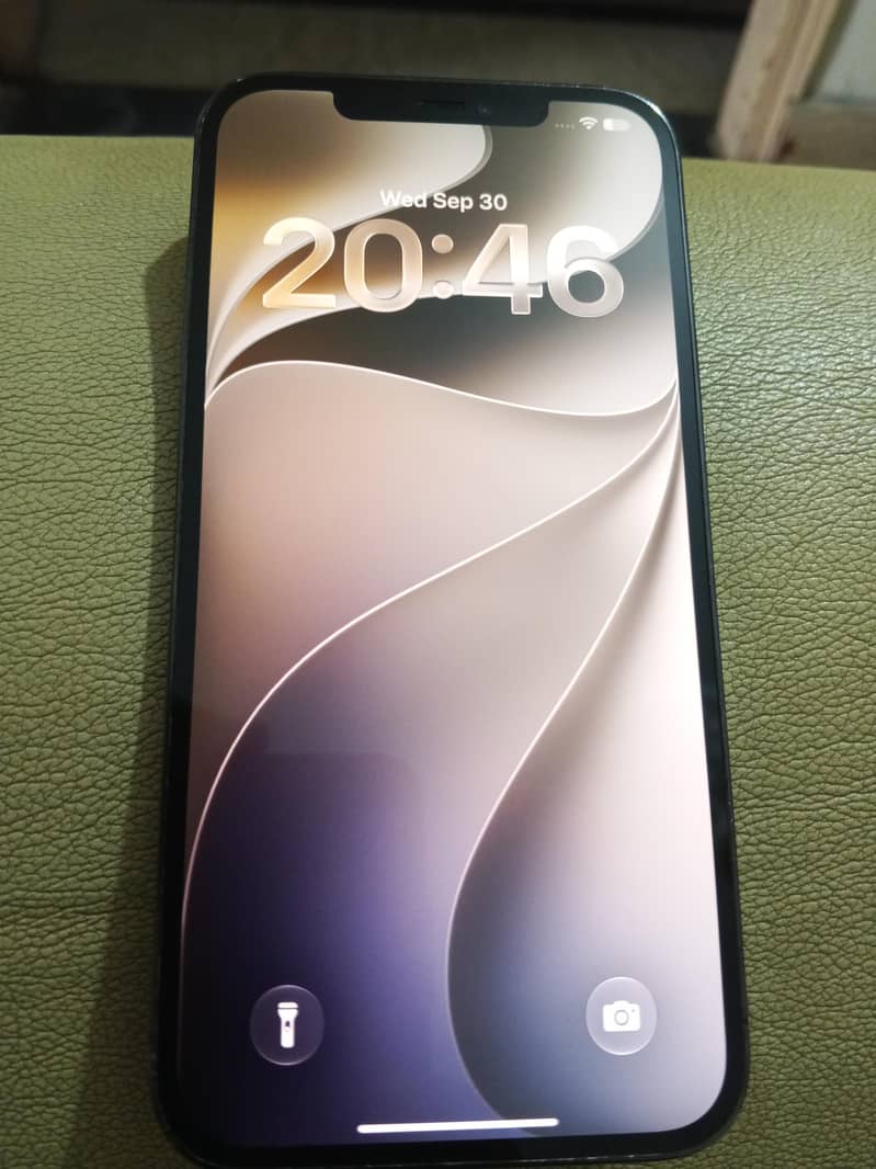 Apple iPhone 12 Pro Max 1