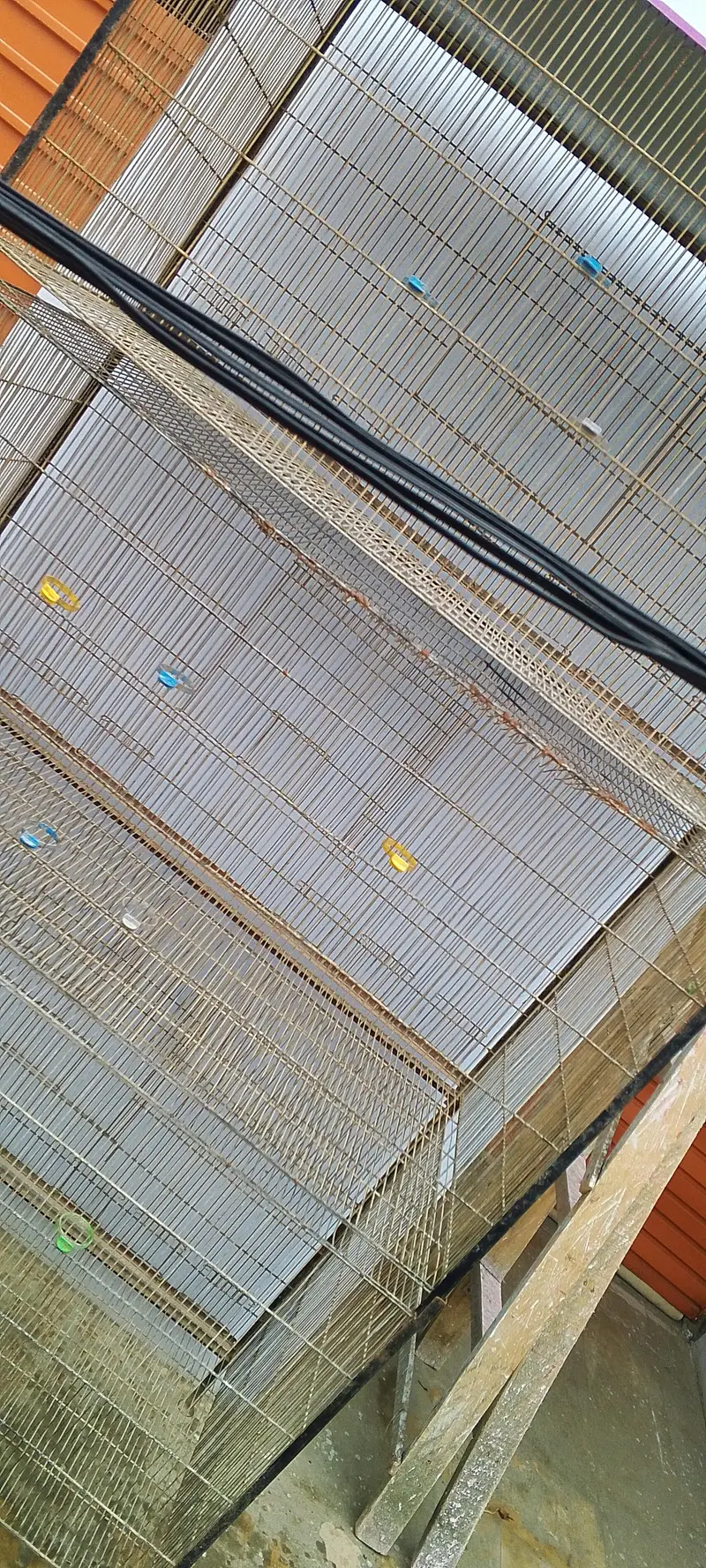 Cages — photo 2