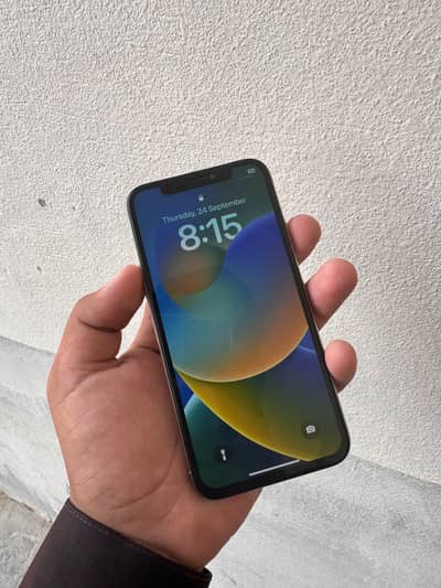 Apple iPhone X