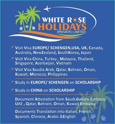 Visa Services