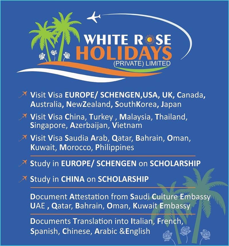 Visa Services 0