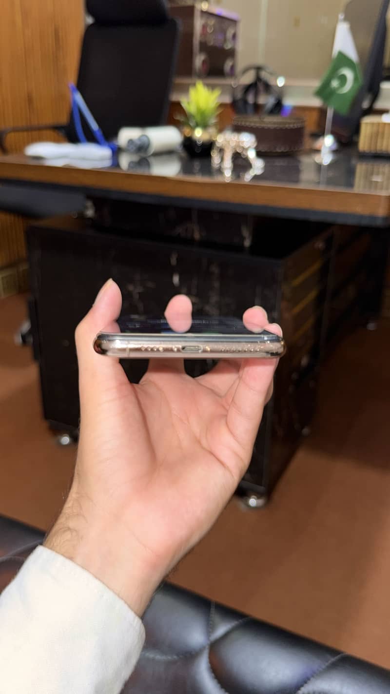 Apple iPhone XS Max 1