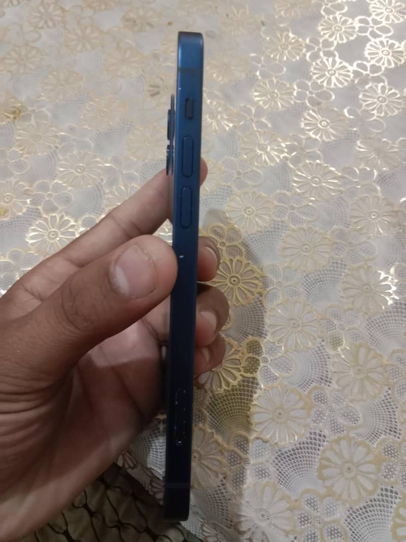 Apple iPhone 12 1