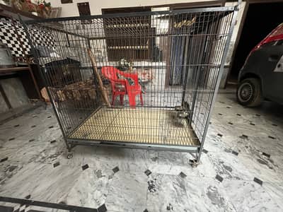 Raw/afarcin grey parrot  cage 10 number wire