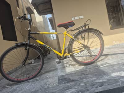 Bicycle