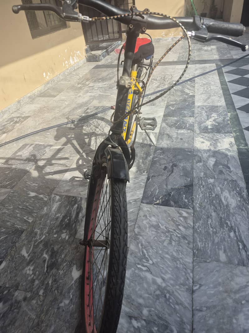 Bicycle 5