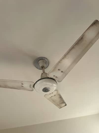 2 fans hain ek royal ka hai ar ek younas dono sainchalty hain