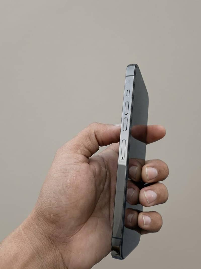 Apple iPhone 13 Pro Max 1