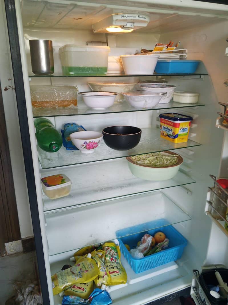 Downlance Refrigerator 2