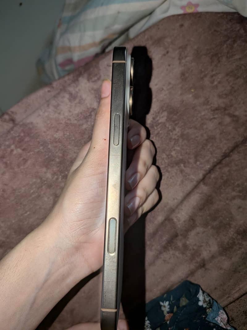 Apple iPhone 16 Pro Max 1