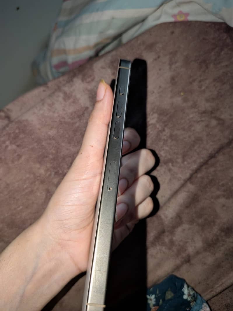 Apple iPhone 16 Pro Max 4