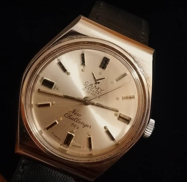 ROAMER ANFIBIO 19