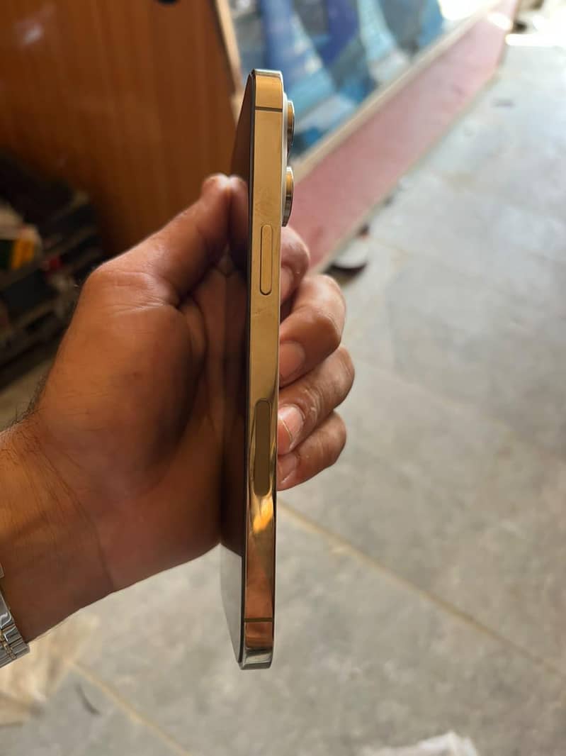 Apple iPhone 14 Pro Max 1