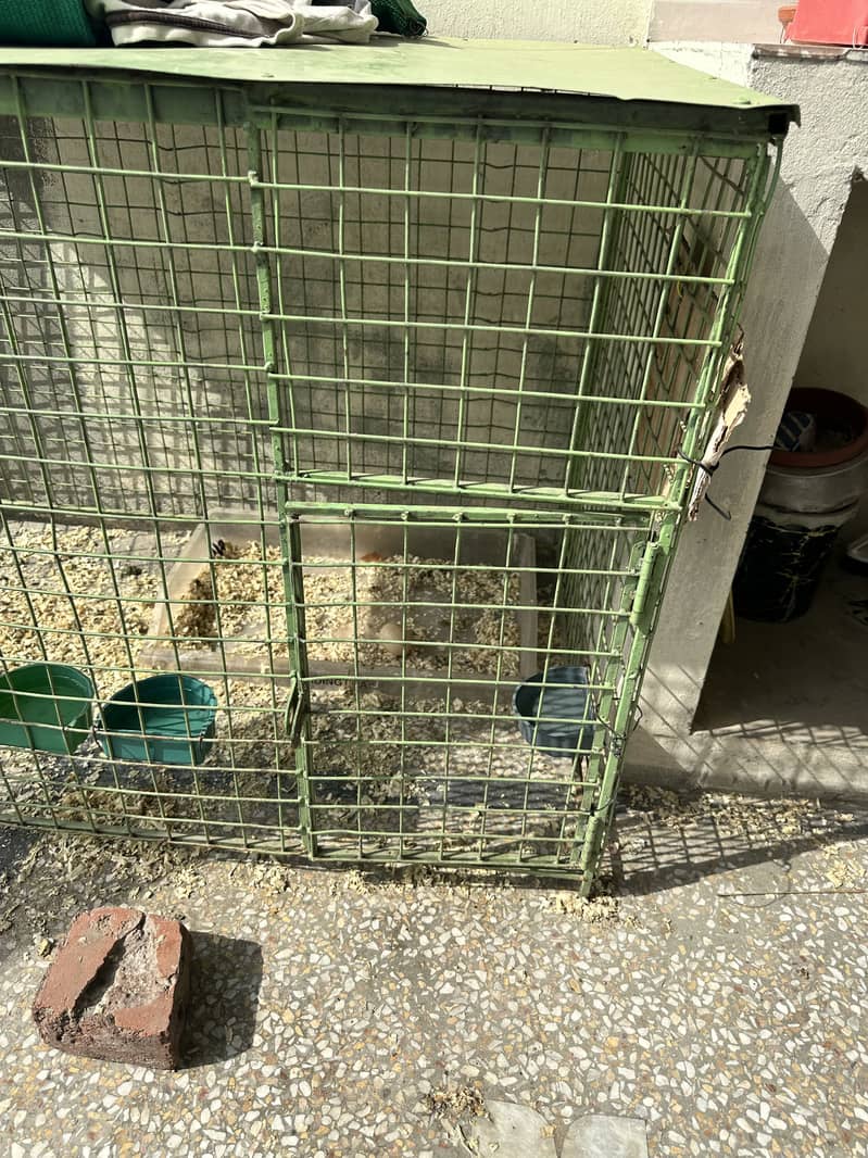 Strong Cage 0