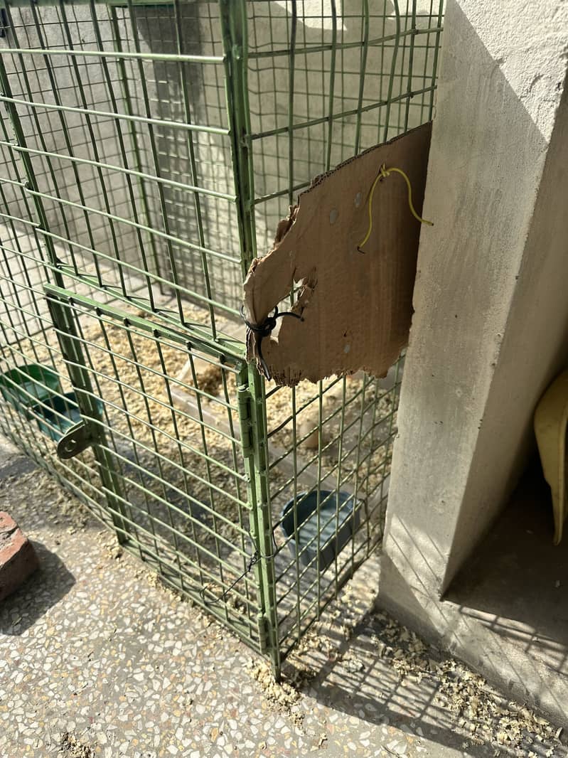 Strong Cage 1
