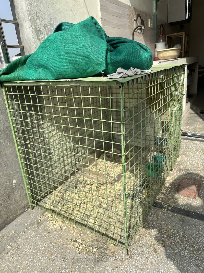 Strong Cage 2