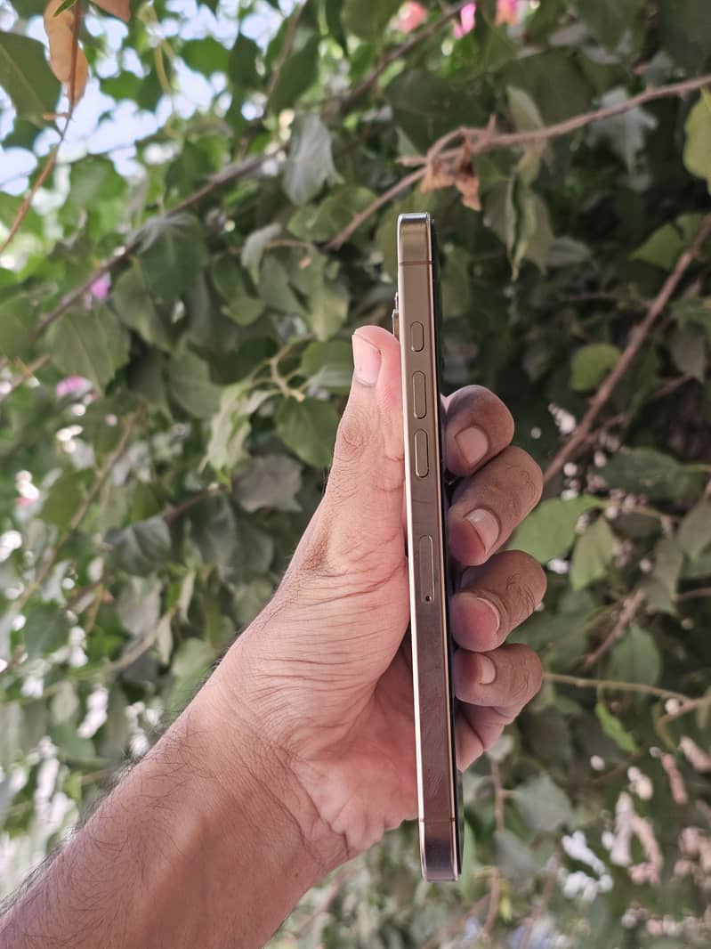 Apple iPhone 16 Pro Max 1