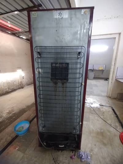 Pel Refrigerator for sale