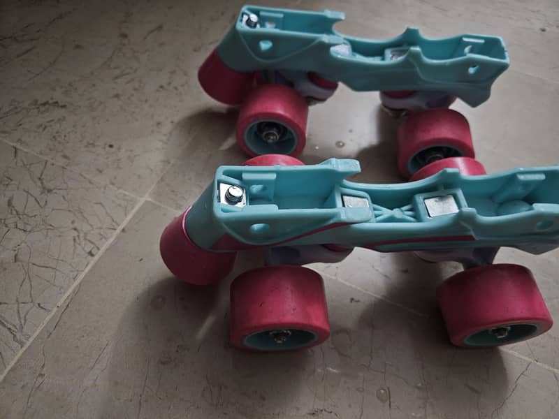 Imported skates 1