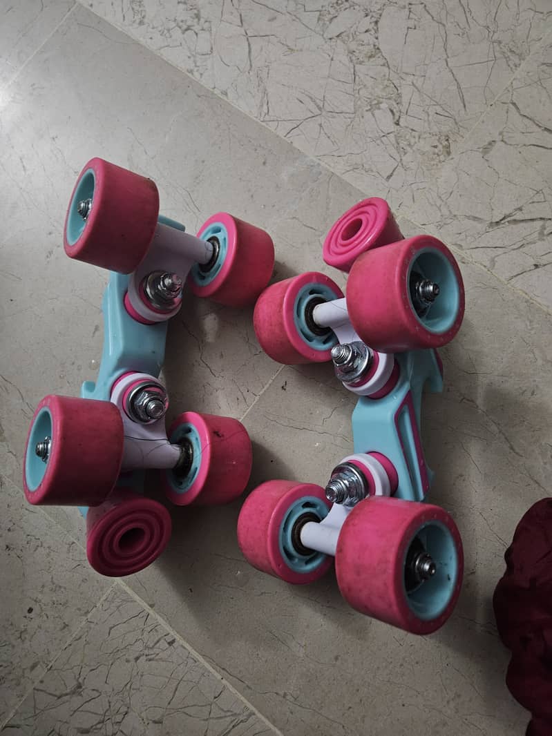 Imported skates 2