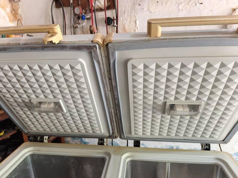 Double Door Deep Freezer 1