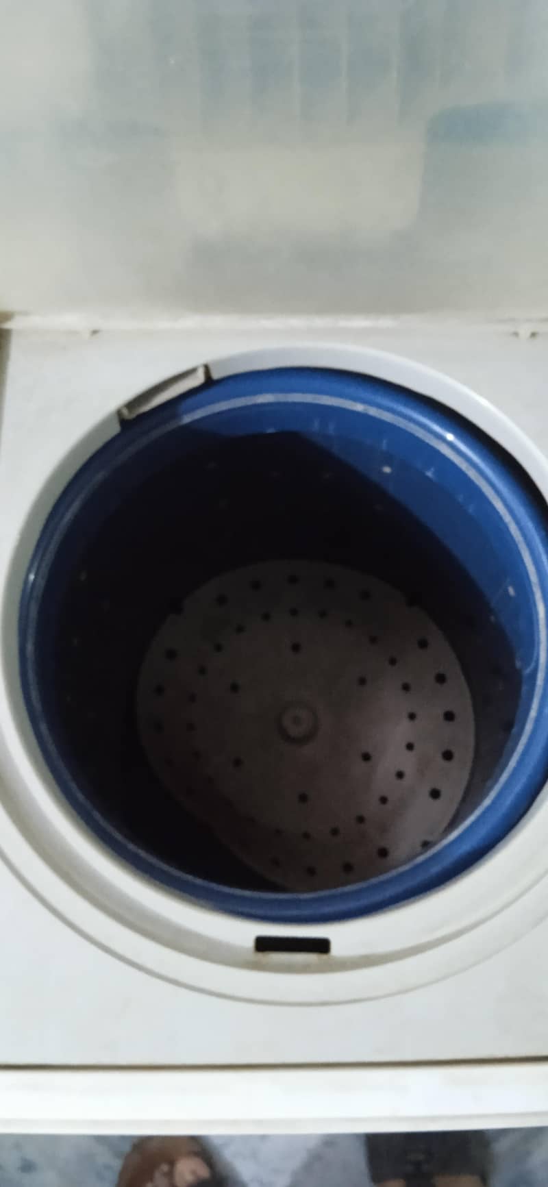 fully plastic body condition normal 5