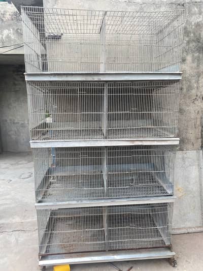 4 floor 8 portion adjustable iron cage with trays and drainage system