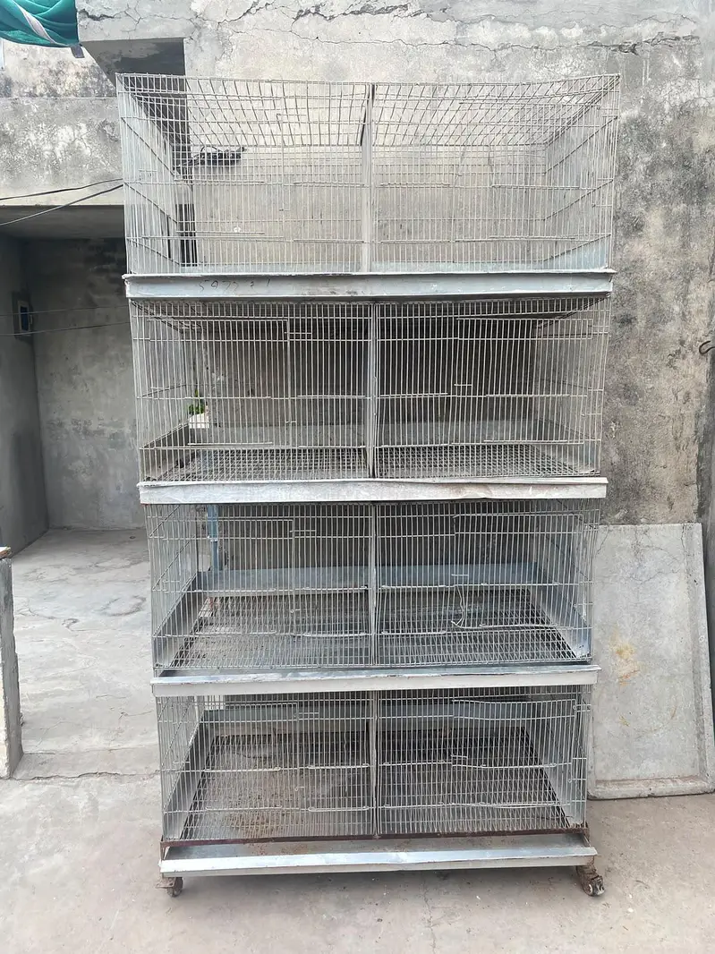 4 floor 8 portion adjustable iron cage with trays and drainage system — photo 2