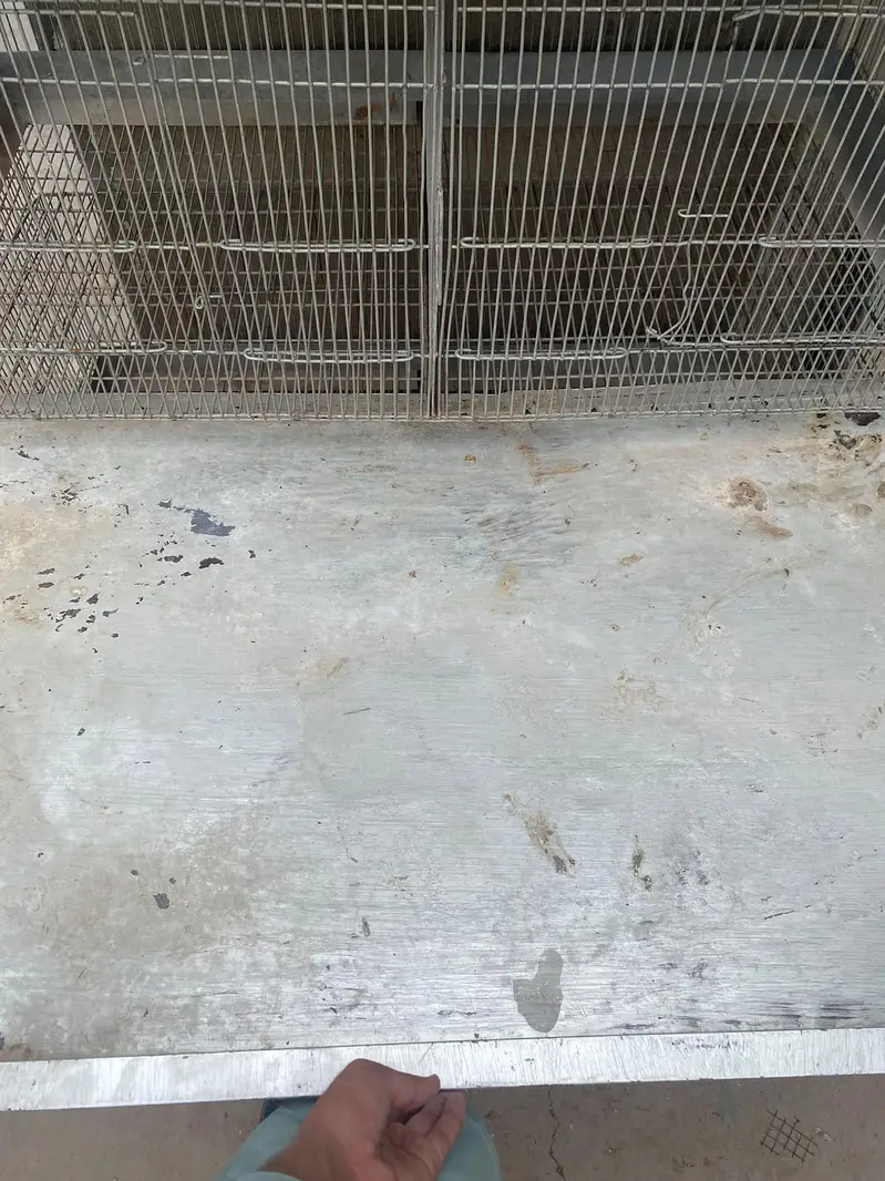 4 floor 8 portion adjustable iron cage with trays and drainage system — photo 3