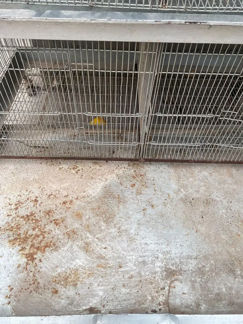 4 floor 8 portion adjustable iron cage with trays and drainage system — photo 4