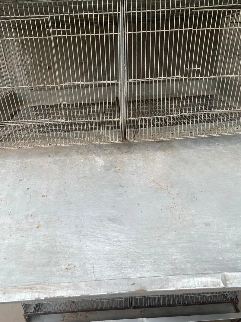 4 floor 8 portion adjustable iron cage with trays and drainage system — photo 5