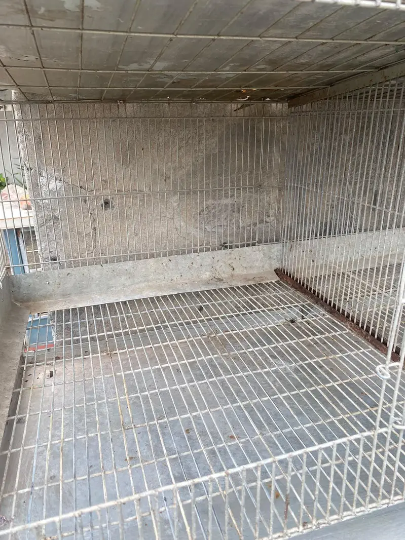 4 floor 8 portion adjustable iron cage with trays and drainage system — photo 6