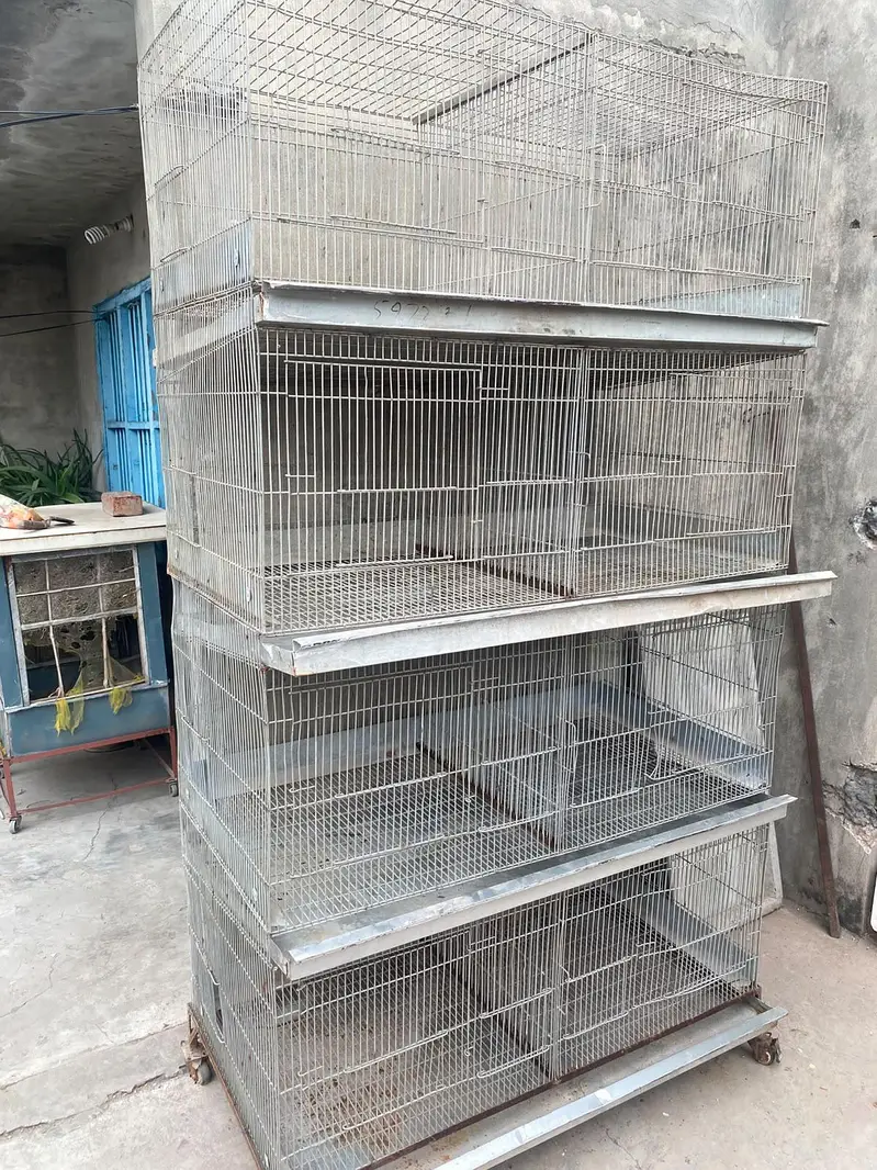 4 floor 8 portion adjustable iron cage with trays and drainage system — photo 7