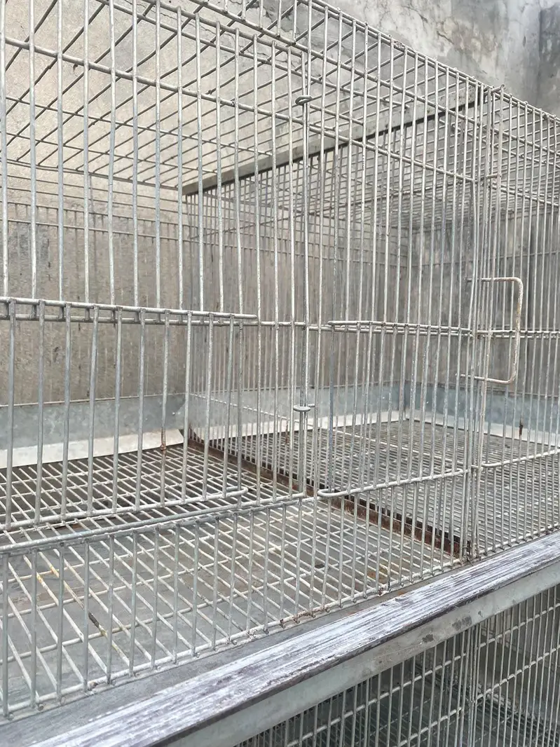 4 floor 8 portion adjustable iron cage with trays and drainage system — photo 9