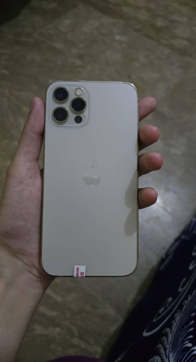 Apple iPhone 12 Pro Max 2