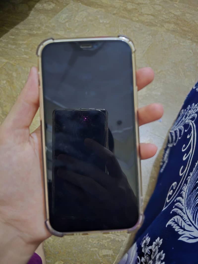 Apple iPhone 12 Pro Max 4