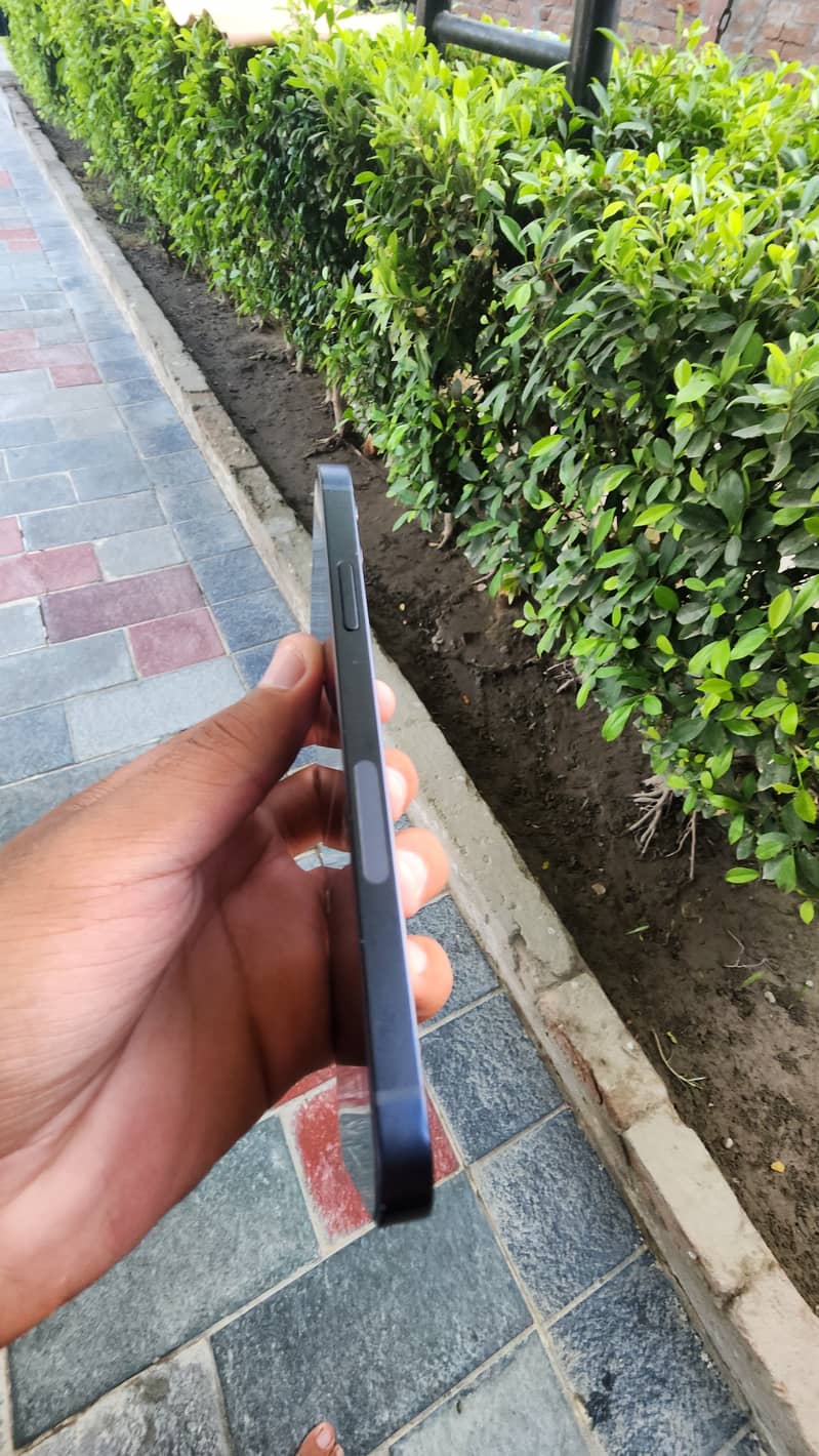 Apple iPhone 12 1