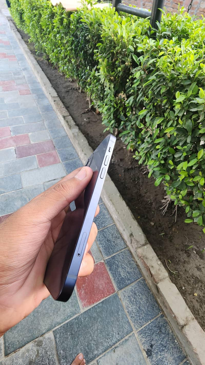 Apple iPhone 12 2