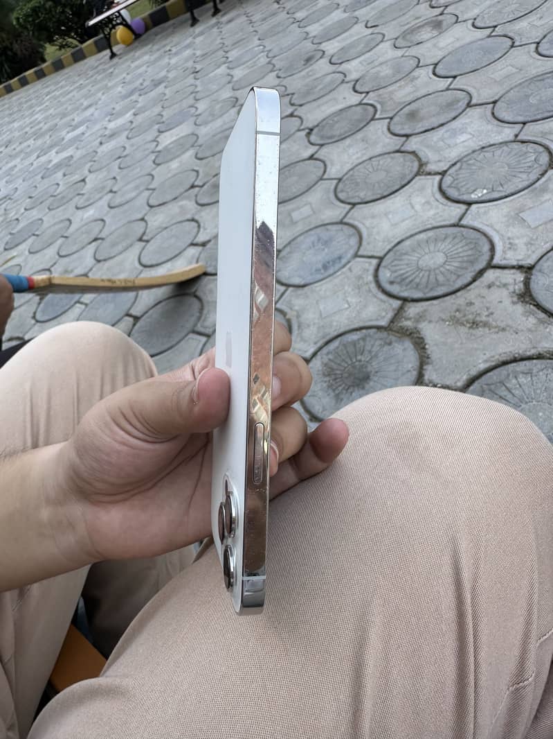 Apple iPhone 12 Pro Max 1