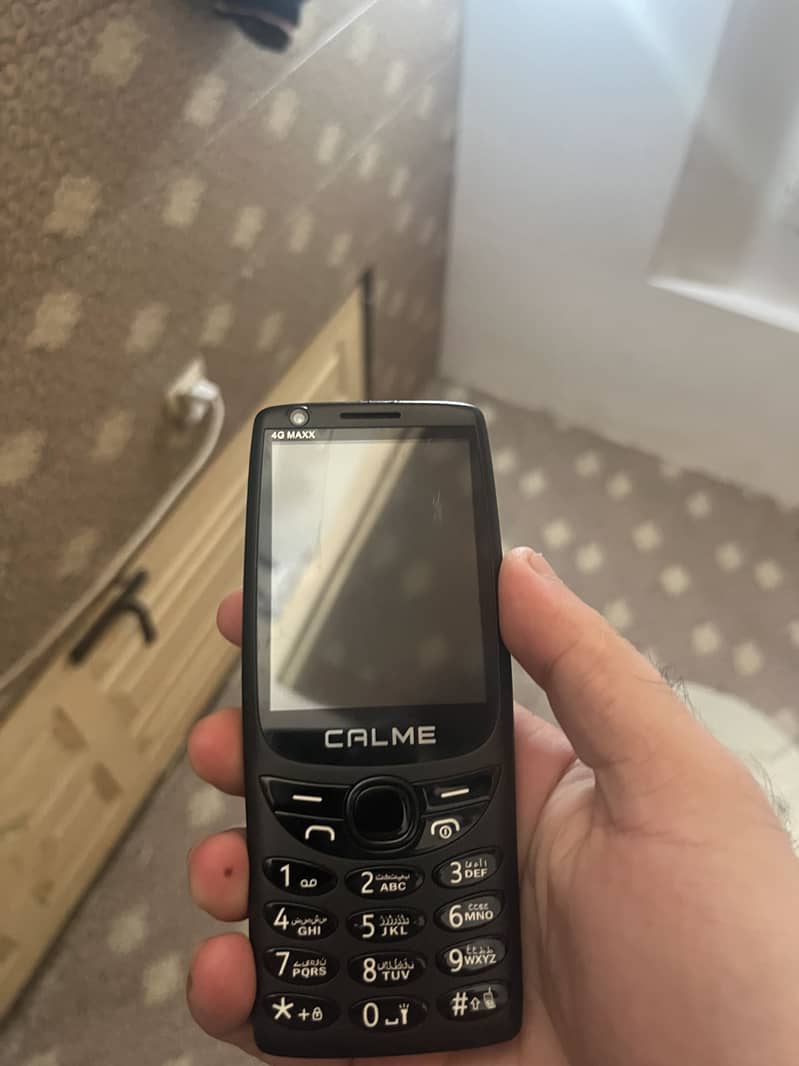 Calme Other Model 2
