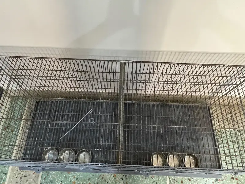 Heavy duty two portion bird Cage — photo 8