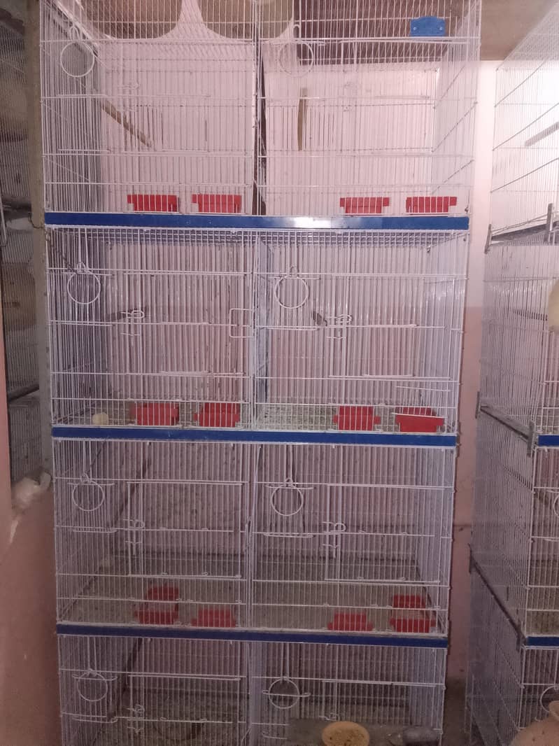 portion cages 0