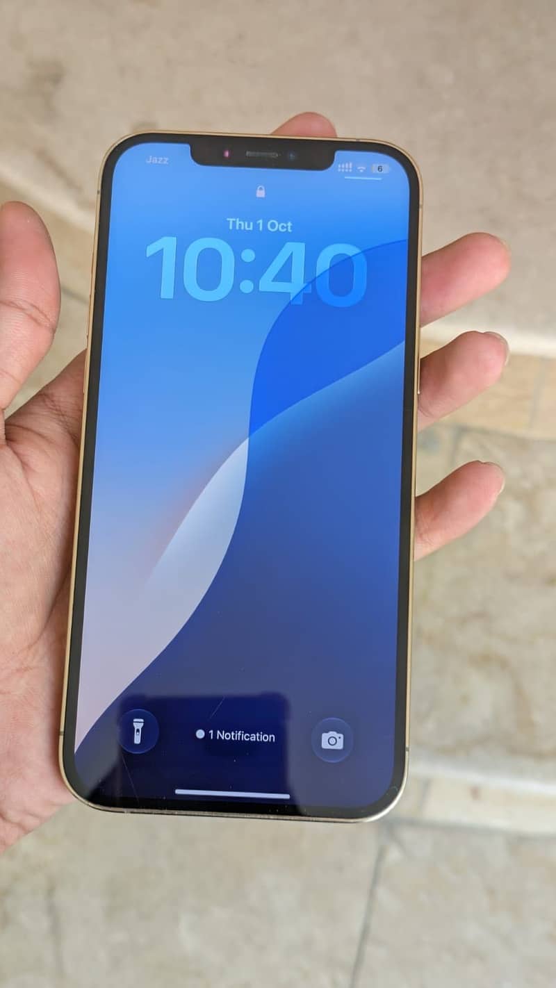 Apple iPhone 12 Pro Max 1