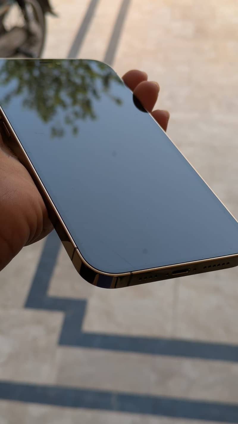 Apple iPhone 12 Pro Max 2