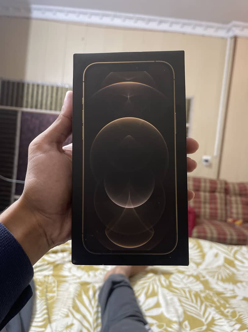 Apple iPhone 12 Pro Max 8