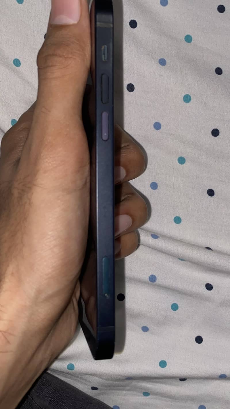 Apple iPhone 12 1