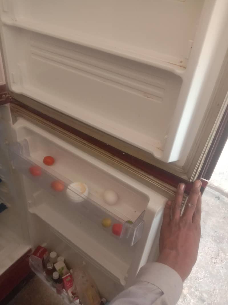 bilkul OK 1