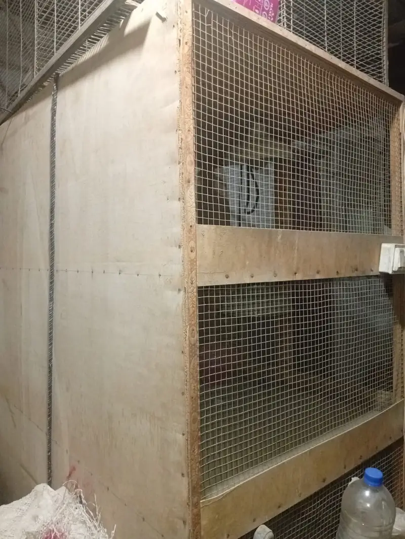 Cage pinjra for animals and birds — photo 3